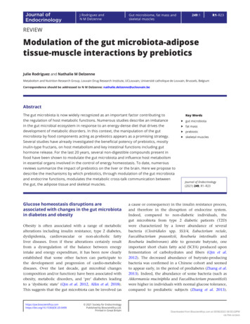 Modulation Of The Gut Microbiota-adipose Tissue-muscle .