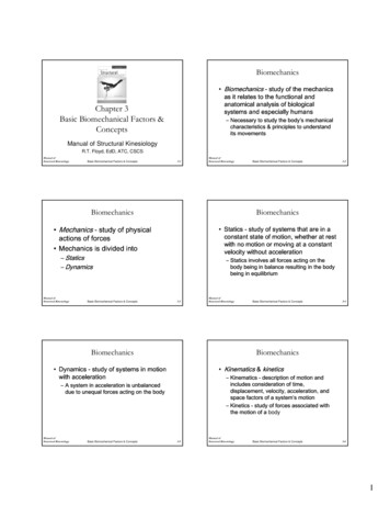 Chapter 3 Basic Biomechanical Factors & Concepts