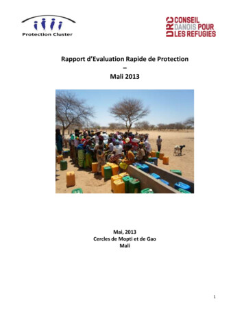 Rapport D'Evaluation Rapide De Protection Mali 2013