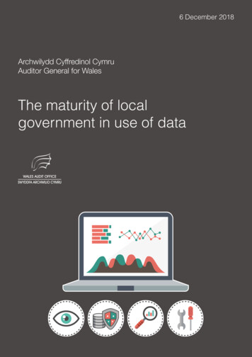 The Maturity Of Local Government In Use Of Data - Audit Wales