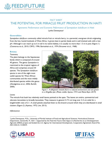 FACT SHEET THE POTENTIAL FOR MIRACLE FRUIT 
