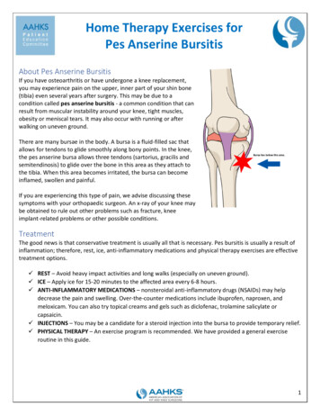 Home Therapy Exercises For Pes Anserine Bursitis