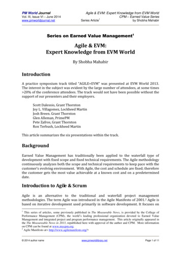Agile & EVM: Expert Knowledge From EVM World