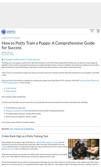 How To Potty Train A Puppy: A Comprehensive Guide For 