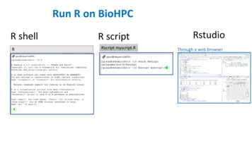 Run R On BioHPC