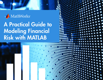 A Practical Guide To Modeling Financial Risk With MATLAB