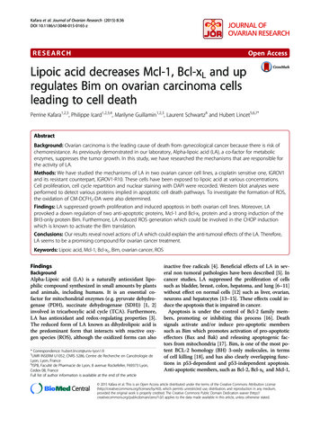Lipoic Acid Decreases Mcl-1, Bcl-xL And Up Regulates Bim .