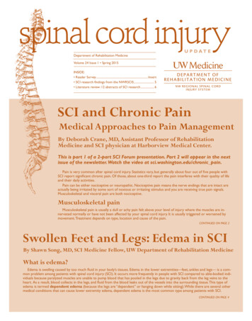 SCI And Chronic Pain