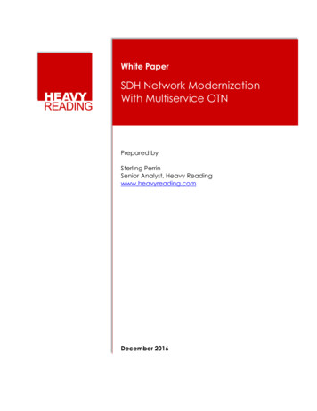 White Paper: SDH Network Modernization With OTN