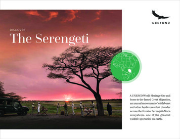 The Serengeti - AndBeyond