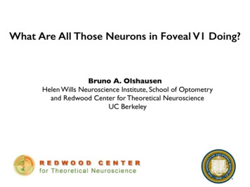 What Are All Those Neurons In Foveal V1 Doing?