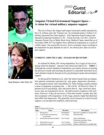 Amputee Virtual Environment Support Space—A Vision . - Veterans Affairs