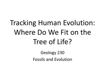 Tracking Human Evolution: Where Do We Fit On The Tree Of 