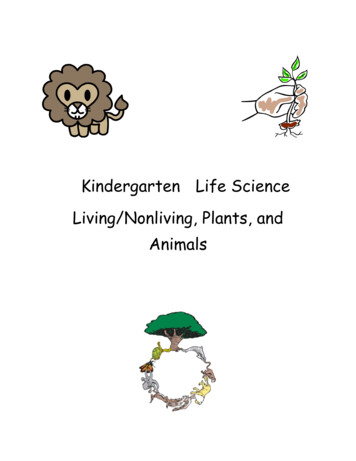 Kindergarten Life Science Living/Nonliving, Plants, And .