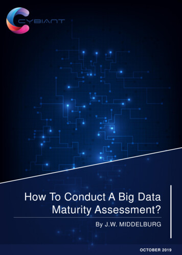 How To Conduct A Big Data Maturity Assessment? - Cybiant