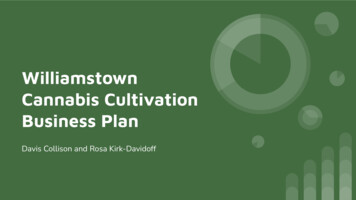 Cannabis Cultivation Business Plan Williamstown