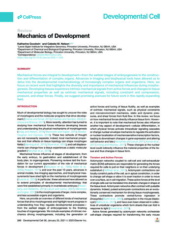 Mechanics Of Development - Cmngroup.princeton.edu