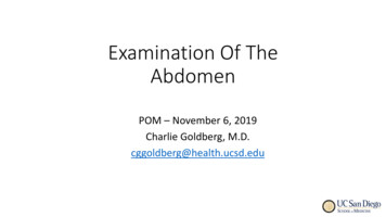 Examination Of The Abdomen
