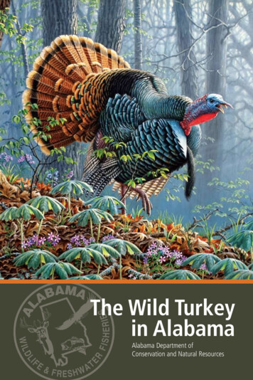 Alabama Wild Turkey Book - Outdoor Alabama