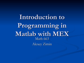 Introduction To Programming In Matlab With MEX