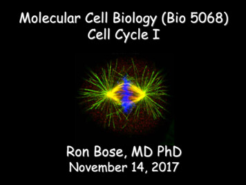 Molecular Cell Biology (Bio 5068) Cell Cycle I