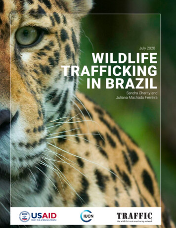 July 2020 WILDLIFE TRAFFICKING IN BRAZIL