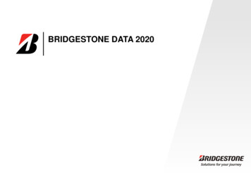 BRIDGESTONE DATA 2020