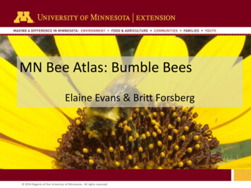 MN Bee Atlas: Bumble Bees - University Of Minnesota
