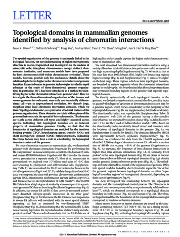 Topological Domains In Mammalian Genomes Identified By Analysis Of .