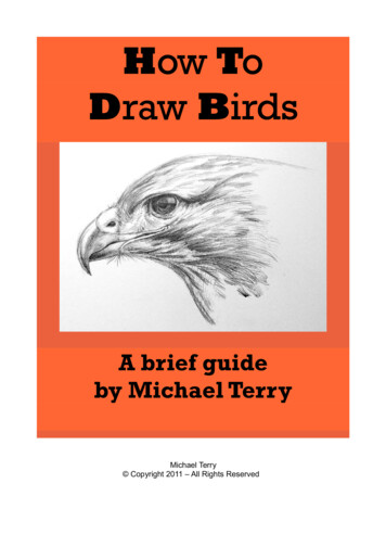 Draw Birds - WordPress 