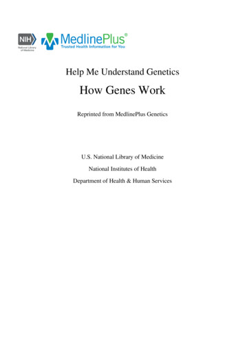 How Genes Work - MedlinePlus