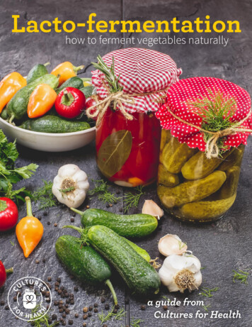 LACTO-FERMENTATION From Cultures For Health