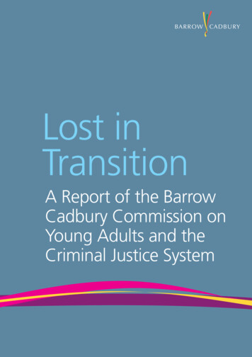 Lost In Transition - Barrow Cadbury Trust