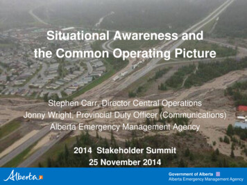 Situational Awareness And The Common Operating Picture