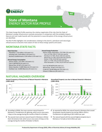 E Of Montana ENERGY SECTOR RISK PROFILE