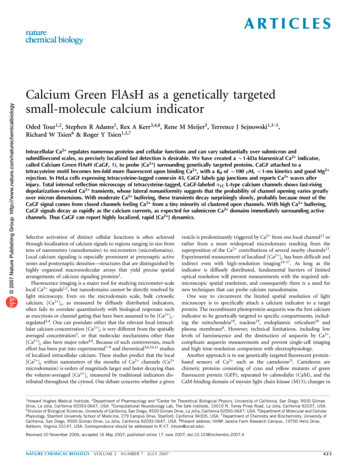 Calcium Green FlAsH As A Genetically Targeted Small-molecule Calcium .