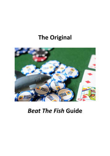 Beat The Fish Guide