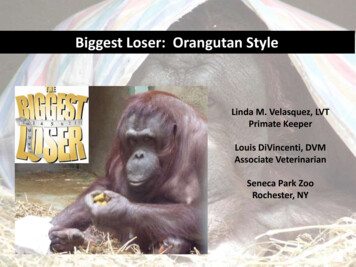 Biggest Loser: Orangutan Style
