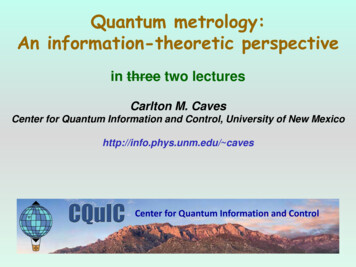 Quantum Metrology: An Information-theoretic Perspective