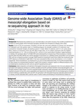 Genome-wide Association Study (GWAS) Of Mesocotyl Elongation Based On .