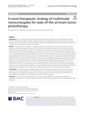 A Novel Therapeutic Strategy Of Multimodal Nanoconjugates .
