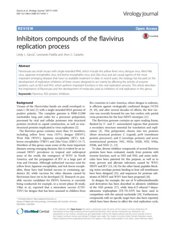 Inhibitors Compounds Of The Flavivirus Replication Process