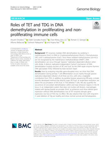 Roles Of TET And TDG In DNA Demethylation In Proliferating And Non .