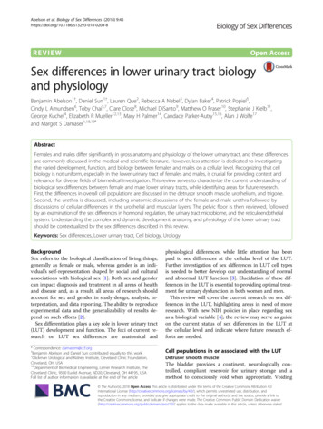 Sex Differences In Lower Urinary Tract Biology And Physiology
