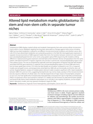 Altered Lipid Metabolism Marks Glioblastoma Stem And Non-stem Cells In .