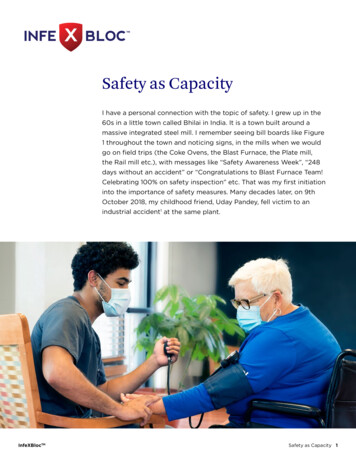Safety As Capacity - Infexbloc 