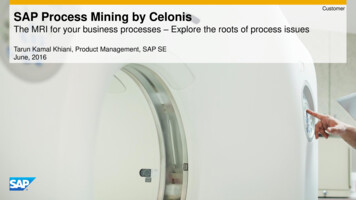 Customer SAP Process Mining By Celonis