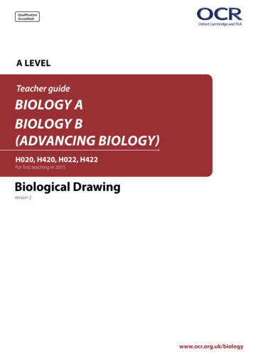 A Level Biology A And Biology B (Advancing Biology) Drawing . - OCR