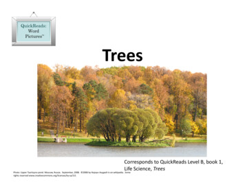QRWP B3 Trees - Assets.pearsonschool 