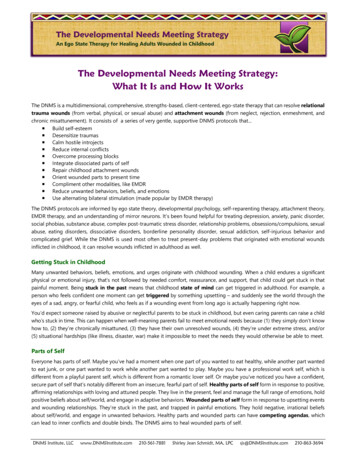The Developmental Needs Meeting Strategy: What It Is And .